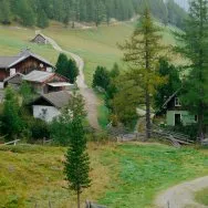Urlaub auf der Alm - Foto: Thomas Reicher, Location: Wansingalm